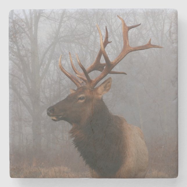 Stylish and Elegant Christmas Elk Stone Coaster (Front)
