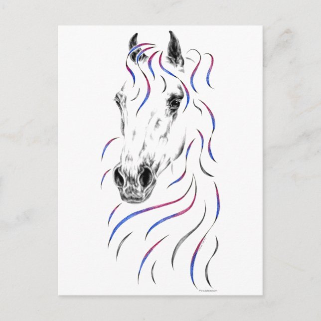 Stylish Arabian Horse Postcard (Front)
