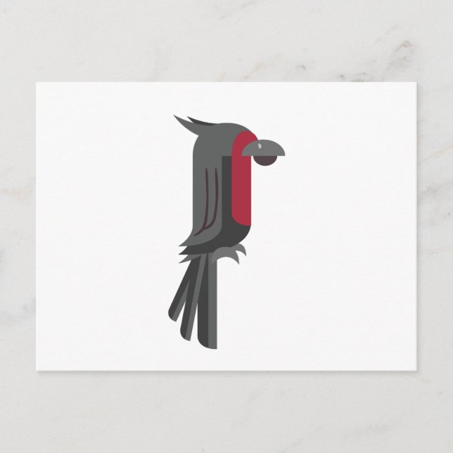 Stylish Black Palm Cockatoo Postcard (Front)