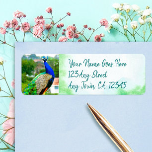 Stylish blue green peacock photo custom address