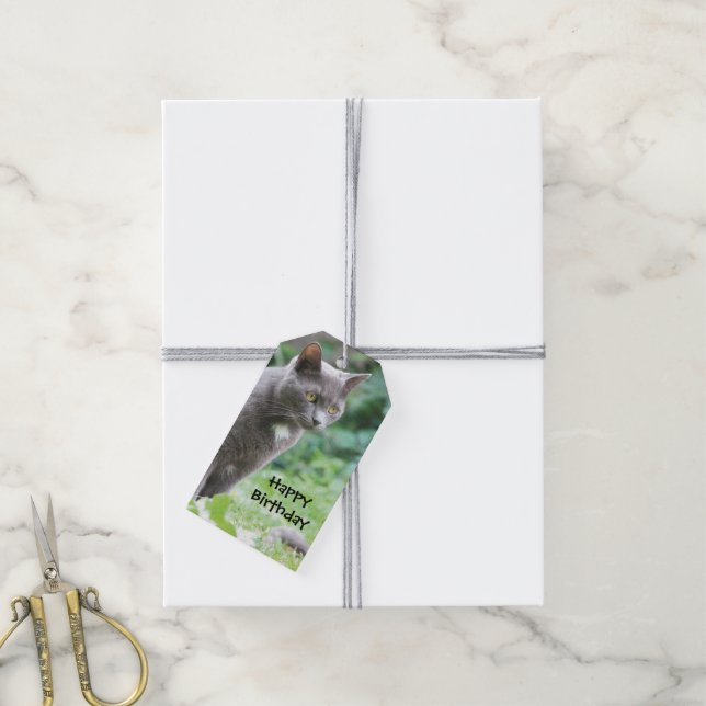 Stylish Cat Birthday Gift Tags (With Twine)