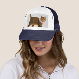 Stylish Cat in Pink Heels and Fluffy Glam Trucker Hat