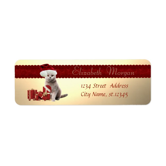 Stylish Cat With Santa Hat,Christmas Presents (Front)