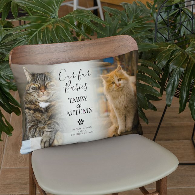 Stylish Chic Cat Memorial 2 x Photo Pet Keepsake Lumbar Cushion (Creator Uploaded)