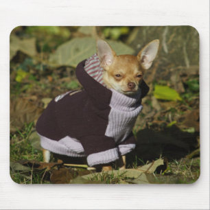 Stylish Chihuahua Mouse Mat