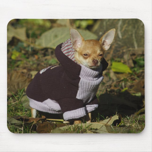 Stylish Chihuahua Mouse Mat (Front)