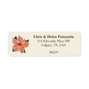 Stylish Coral Poinsettia Cream Address