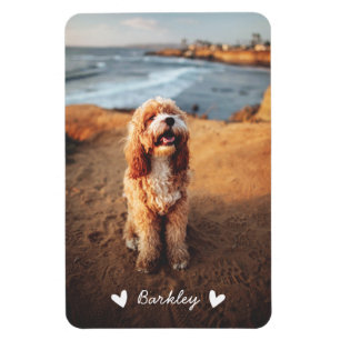 Stylish Cute Hearts Pet Photo Name   White Magnet