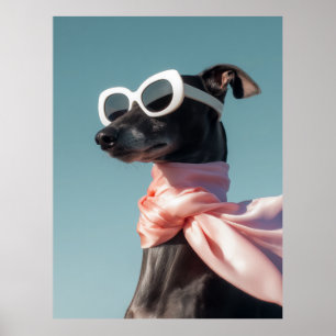 Stylish Dog With Sunglasses Scarf Poster