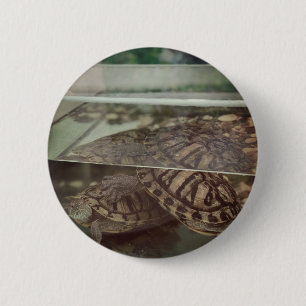 Stylish Earth-Toned Button Pin