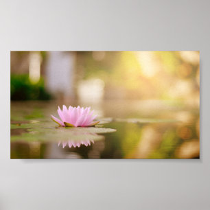 Stylish Lotus Flower Landscape, Zen Poster