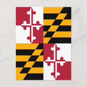 Stylish Maryland State Flag Decor Postcard