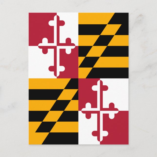 Stylish Maryland State Flag Decor Postcard (Front)