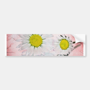 Stylish Mod Surprise Whimsical Classy Destiny Bumper Sticker