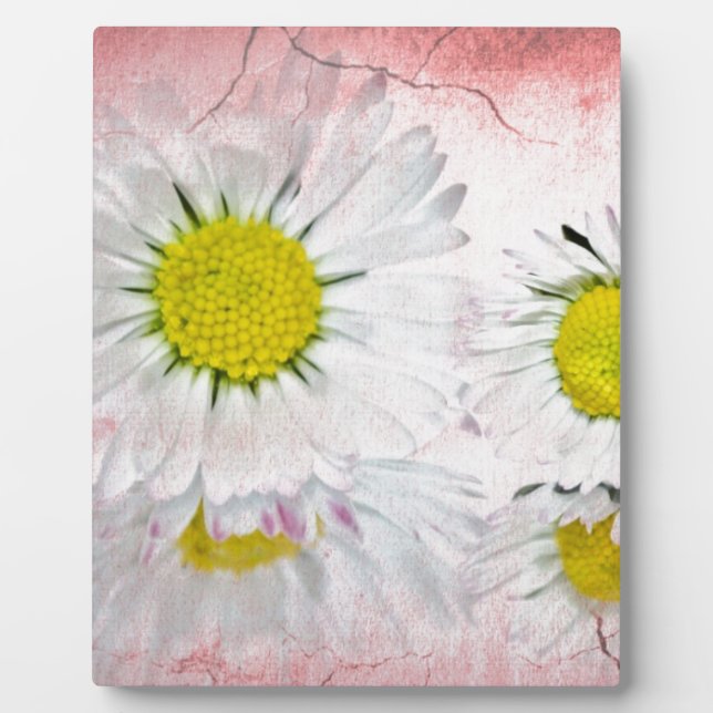 Stylish Mod Surprise Whimsical Classy Destiny Plaque (Front)
