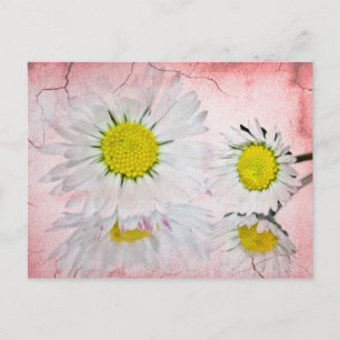 Stylish Mod Surprise Whimsical Classy Destiny Postcard