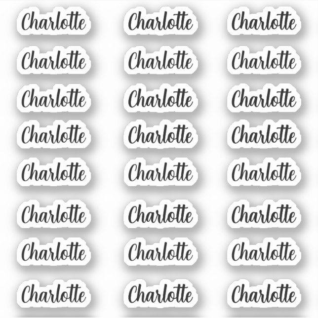 Stylish Name Sticker decal name labels (Front)