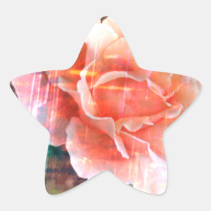 Stylish Old Rose Star Sticker