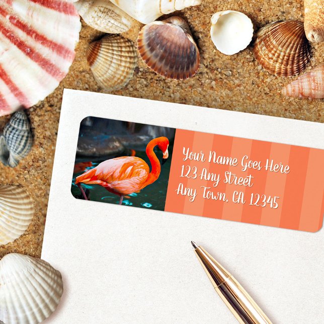 Stylish pink flamingo photo custom script address (Creator Uploaded)