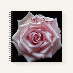 Stylish pretty pink rose flower black trendy boho  notebook