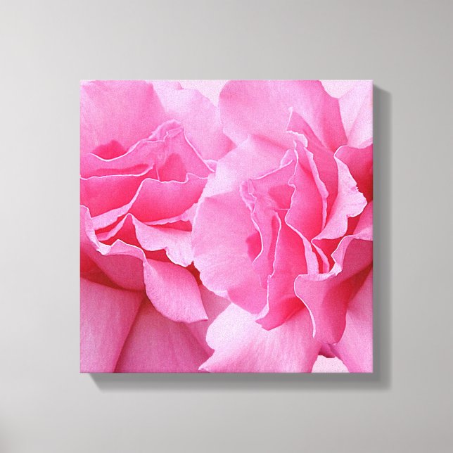 Stylish pretty pink rose modern floral fine art  canvas print (Front)
