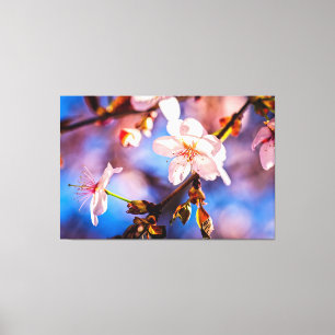 Stylish Sakura Blossoms Canvas Print