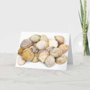 Stylish Sea Shells Thank You Card