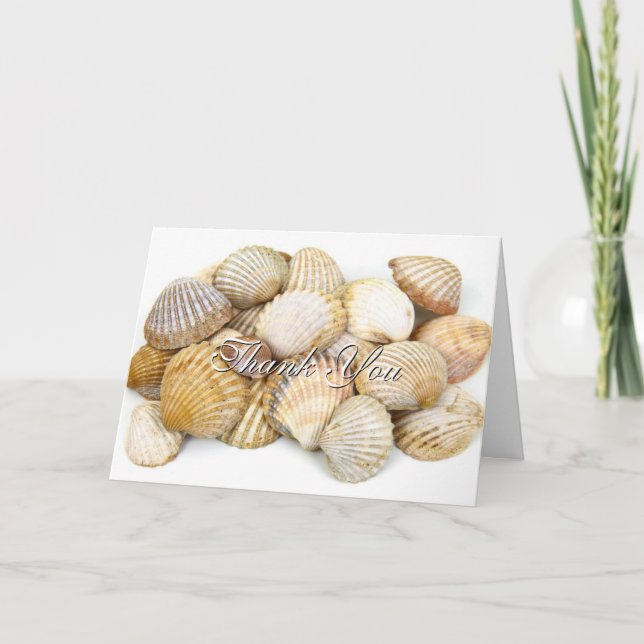 Stylish Sea Shells Thank You Card (Front)