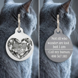 Stylish Silver Diamond Dog Cat Call ID Lost Tag