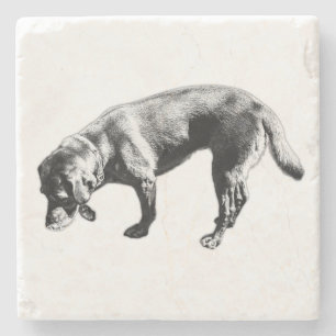 Stylish Sniffing Labrador Ink Art Coaster