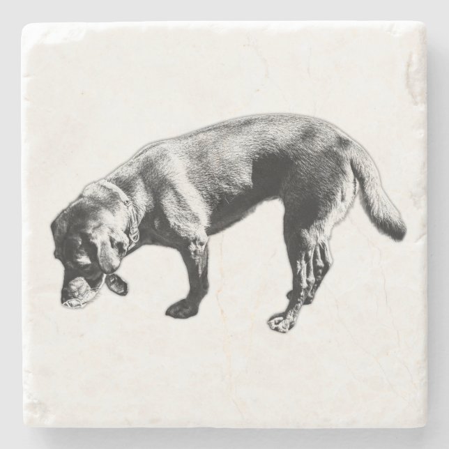Stylish Sniffing Labrador Ink Art Coaster (Front)