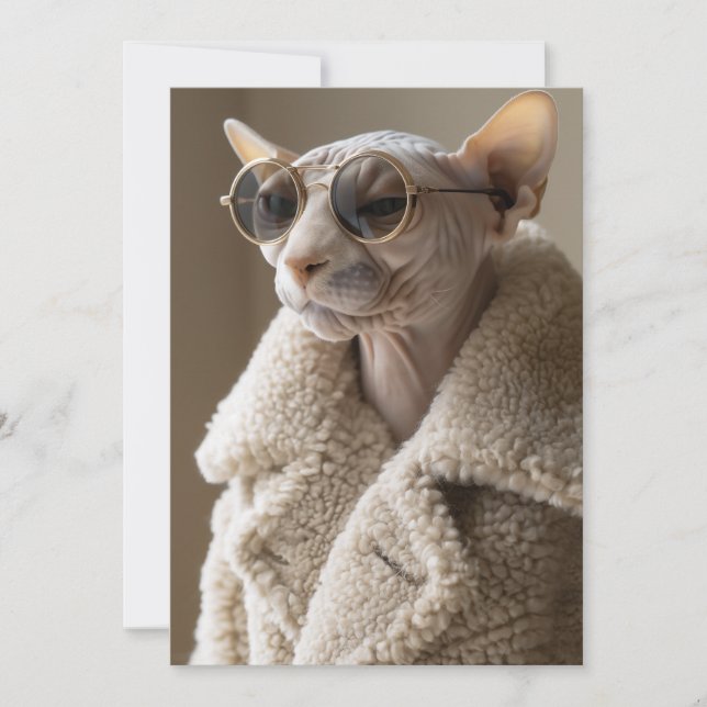 Stylish Sphynx Cat in Sunglasses and Sherpa Coat Invitation (Front)