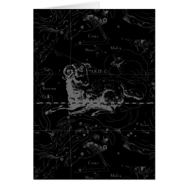 Stylish Vintage Aries Constellation by Hevelius (Front)