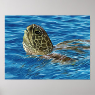 Stylized Basking Green Turtle Poster