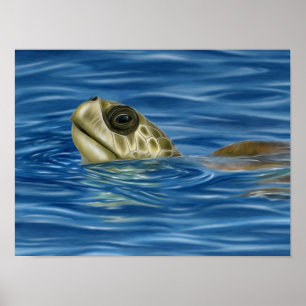Stylized Basking Olive Ridley Sea Turtle Poster