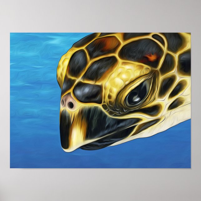Stylized Hawksbill Sea Turtle Poster (Front)