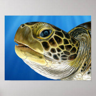 Stylized Juvenile Green Turtle Face Poster