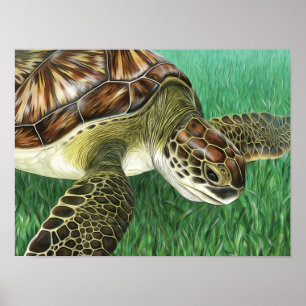 Stylized Juvenile Green Turtle Poster