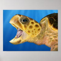 Stylized Loggerhead Open Mouth