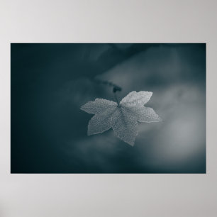Stylized Monochrome Maple Leaf Nature Photo Poster