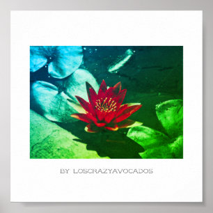 Stylized Red Green Water Lily Flower Plants Poster