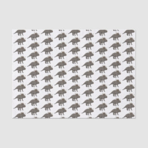 Styracosaurus cartoon illustration tissue paper