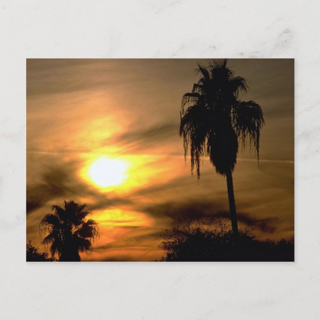 Sub-tropical sunset postcard (Front)