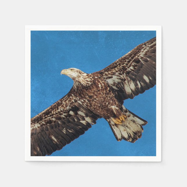 Subadult Bald Eagle in flight Napkin (Front)