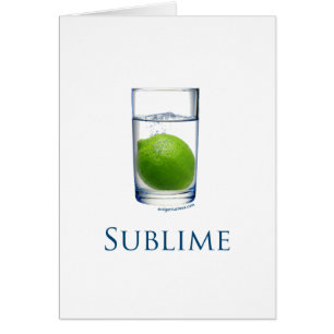 Sublime funny