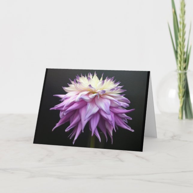 Sublime White and Lavender Purple Dahlia Thank You Card (Front)
