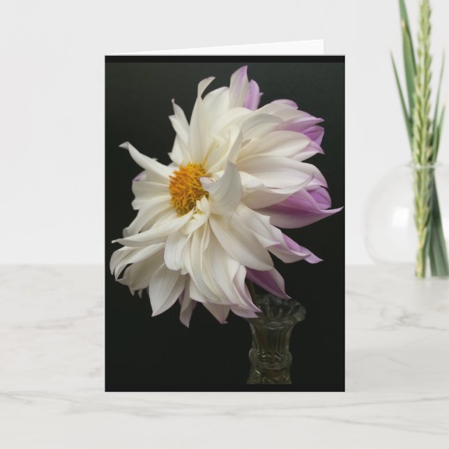 Sublime White and Lavender Purple Dahlia Thank You Card (Front)