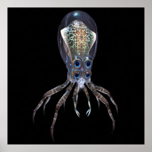Subnautica Crabsquid Poster