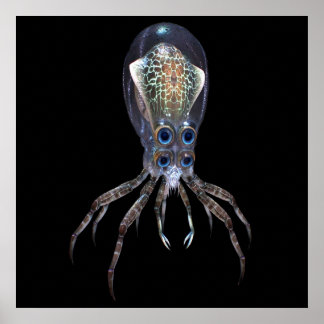 Subnautica  Crabsquid Poster