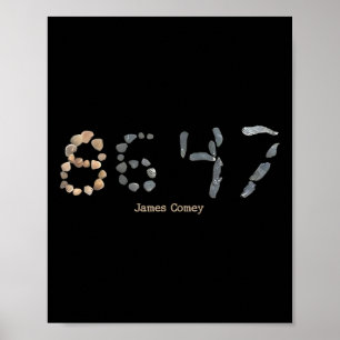 Subtle Resist Trump 8647 3 Poster
